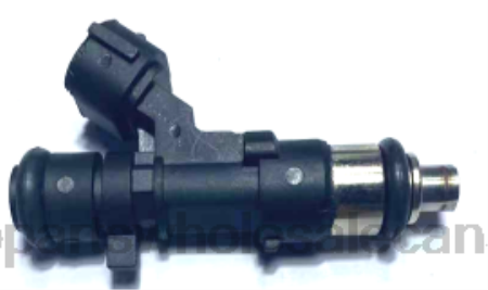 Auto Parts Canada Online NV4L1896 Fuel Injector 0280158042 16600CD700 16600CD701