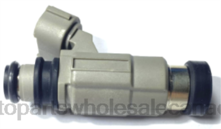Car Parts Canada Online NV4L2083 Fuel Injector CDH166 MD319790