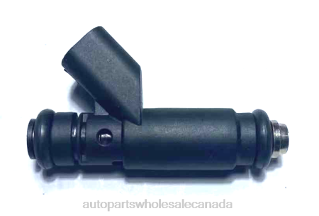 Car Parts Canada Online NV4L2343 Fuel Injector 53032713AA 53032713AB RL032713AB