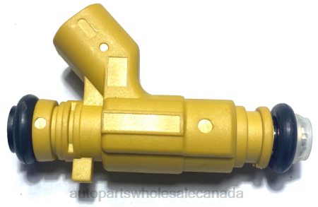 Car Parts Canada Online NV4L2363 Fuel Injector 4591899AA