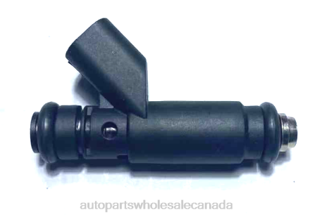 Car Parts Canada Review NV4L2334 Fuel Injector 4591658AA