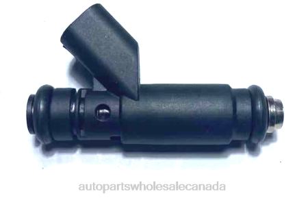 Car Parts Canada Review NV4L2344 Fuel Injector 4891573AA