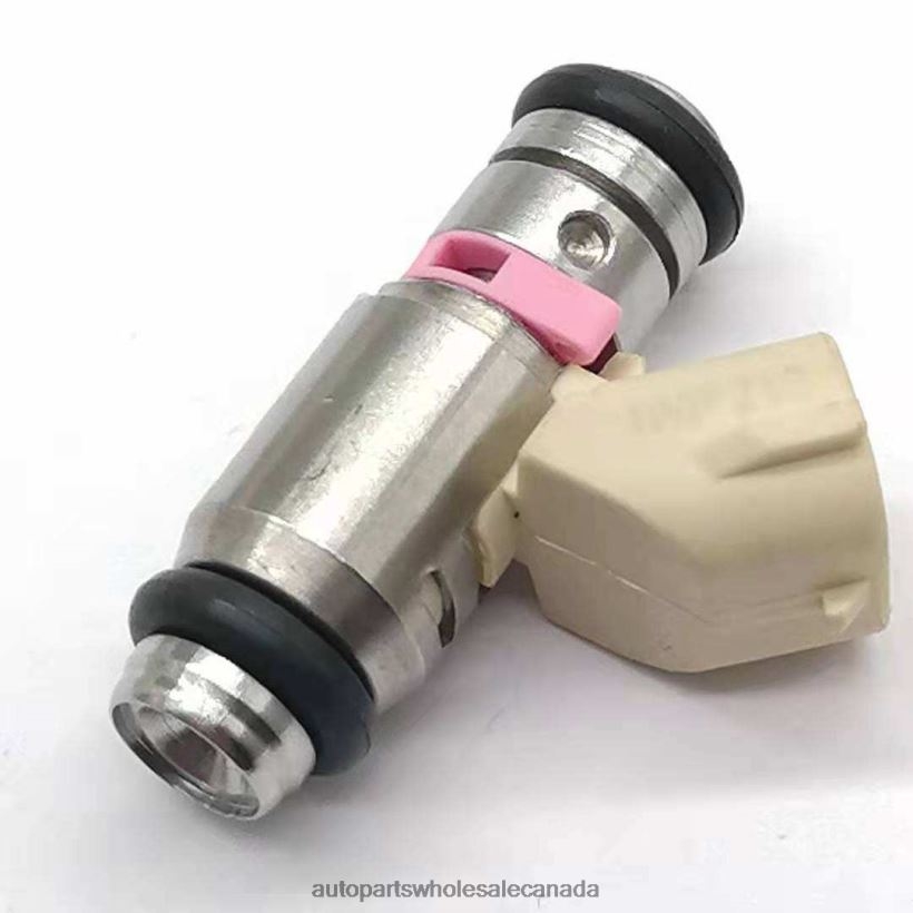 Car Parts Wholesale iwp 210 Fuel Injecto ZZLTN561 PEUGEOT CITROEN