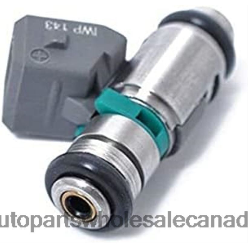 Car Parts Canada Online IWP143 8200128959 75112142 50102602 805001571701 Fuel Injecto ZZLTN213 RENAULT