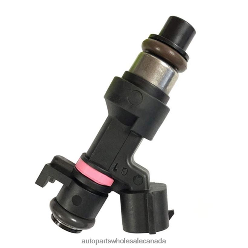 Car Parts Wholesalers Near Me H106845 166006863R ARBI845 Fuel Injecto ZZLTN239 RENAULT