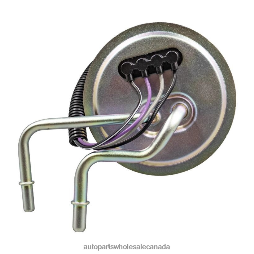 Auto Parts Canada Online Fuel Pump Module SP2005H P77253S F6TZ9A407AA for Ford ZZLTN826