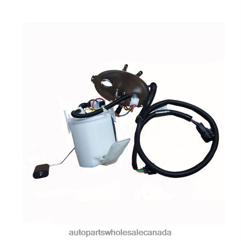 Auto Parts Canada Ontario Fuel Pump Module E2199M P74749M FG0840 for Ford ZZLTN757