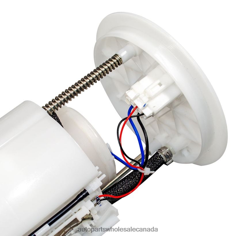 Car Parts Canada Review Fuel Pump Module E2470M FG1168 for Ford ZZLTN784