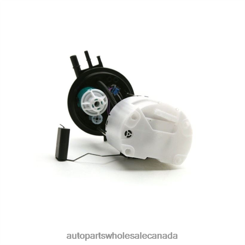Auto Parts Canada Ontario Fuel Pump Module E3796M SP6031M FG0939 for GM ZZLTN957