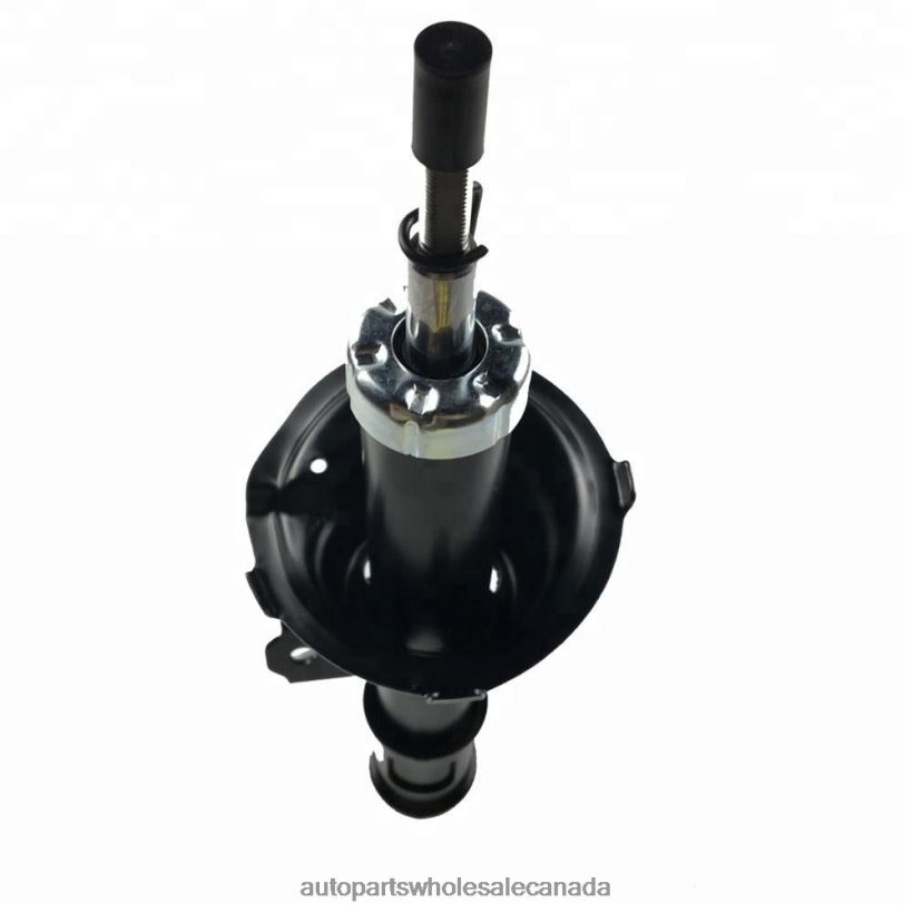 Car Parts Canada Review 332501 Shock Absorber for Kia Picanto Fits Front ZZLTN654
