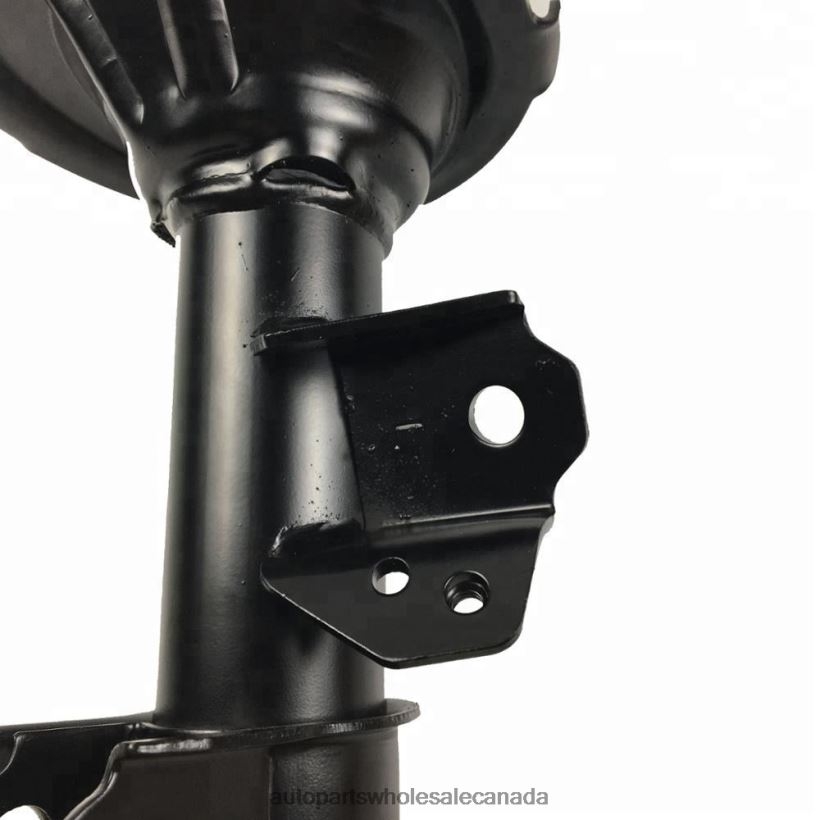 Car Parts Canada Review 332501 Shock Absorber for Kia Picanto Fits Front ZZLTN654