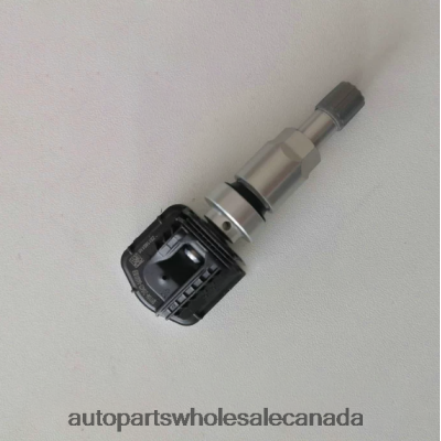 TPMS Rongwei Tire Pressure Sensor 10718213 Auto Parts Canada Ontario 64D2R2595