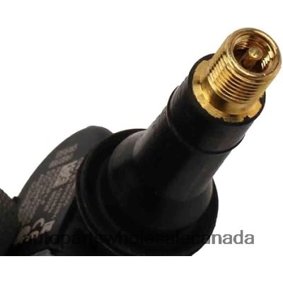 TPMS Buick/Chevrolet/Cadillac/GMC Tire Pressure Sensor 13516165 Car Parts Wholesale Suppliers 64D2R2666